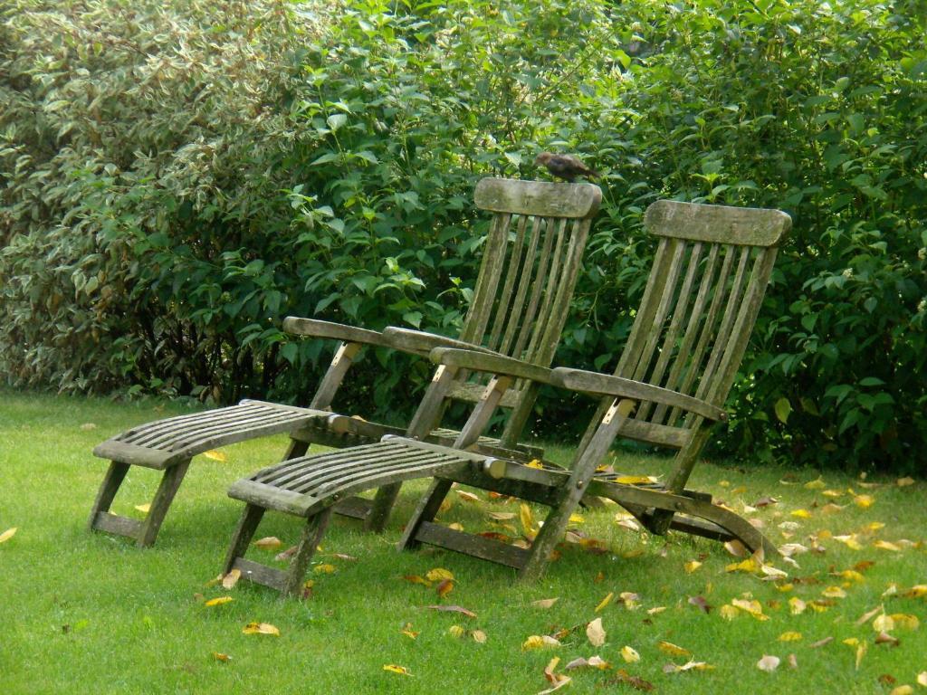 Gartenappartement Ybbs İps Dış mekan fotoğraf